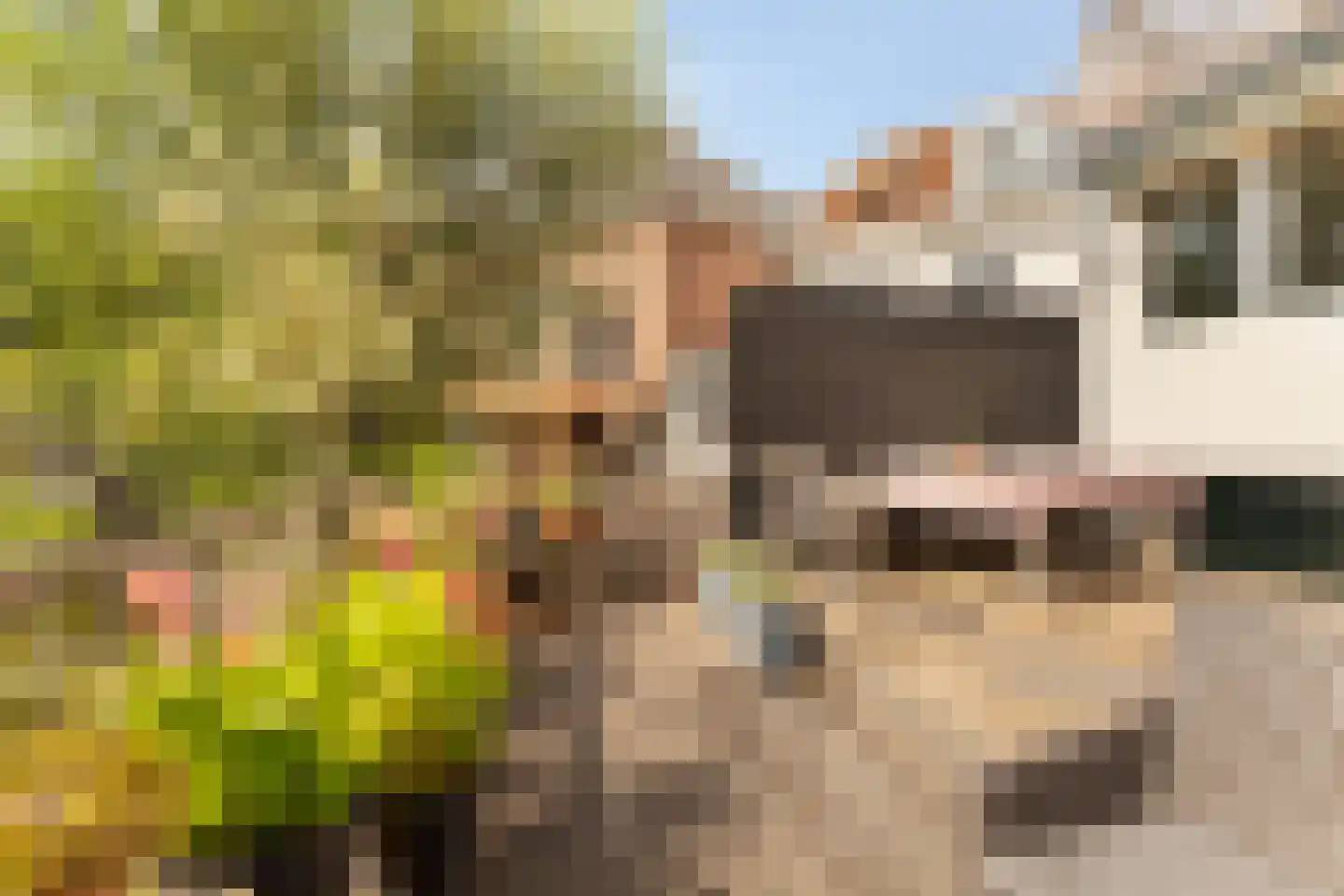 Dorpsplein 5 Geervliet thumbnail 41