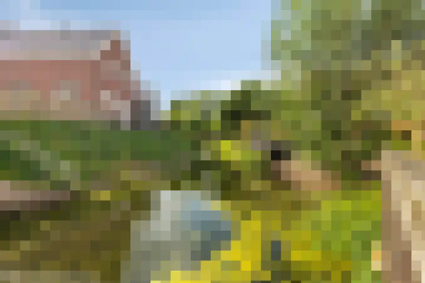 Dorpsplein 5 Geervliet thumbnail 42