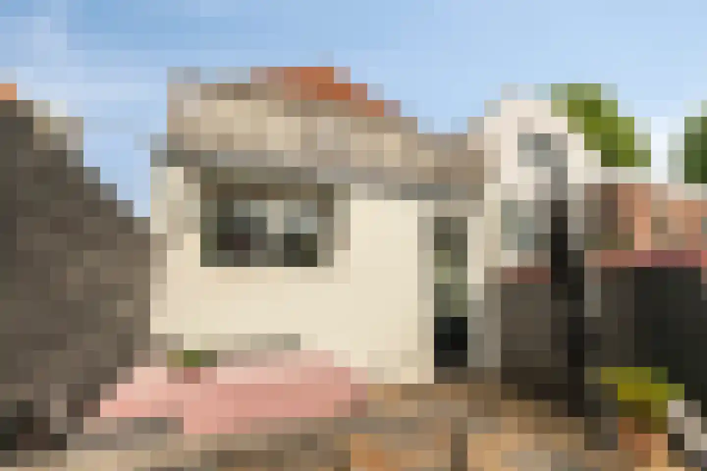Dorpsplein 5 Geervliet thumbnail 43