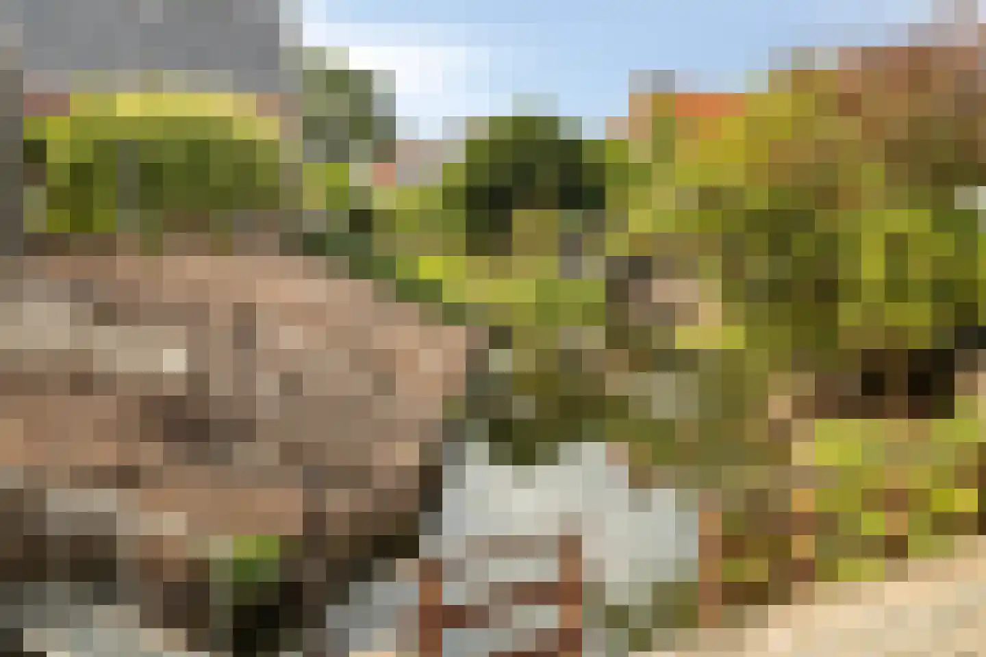 Dorpsplein 5 Geervliet thumbnail 45