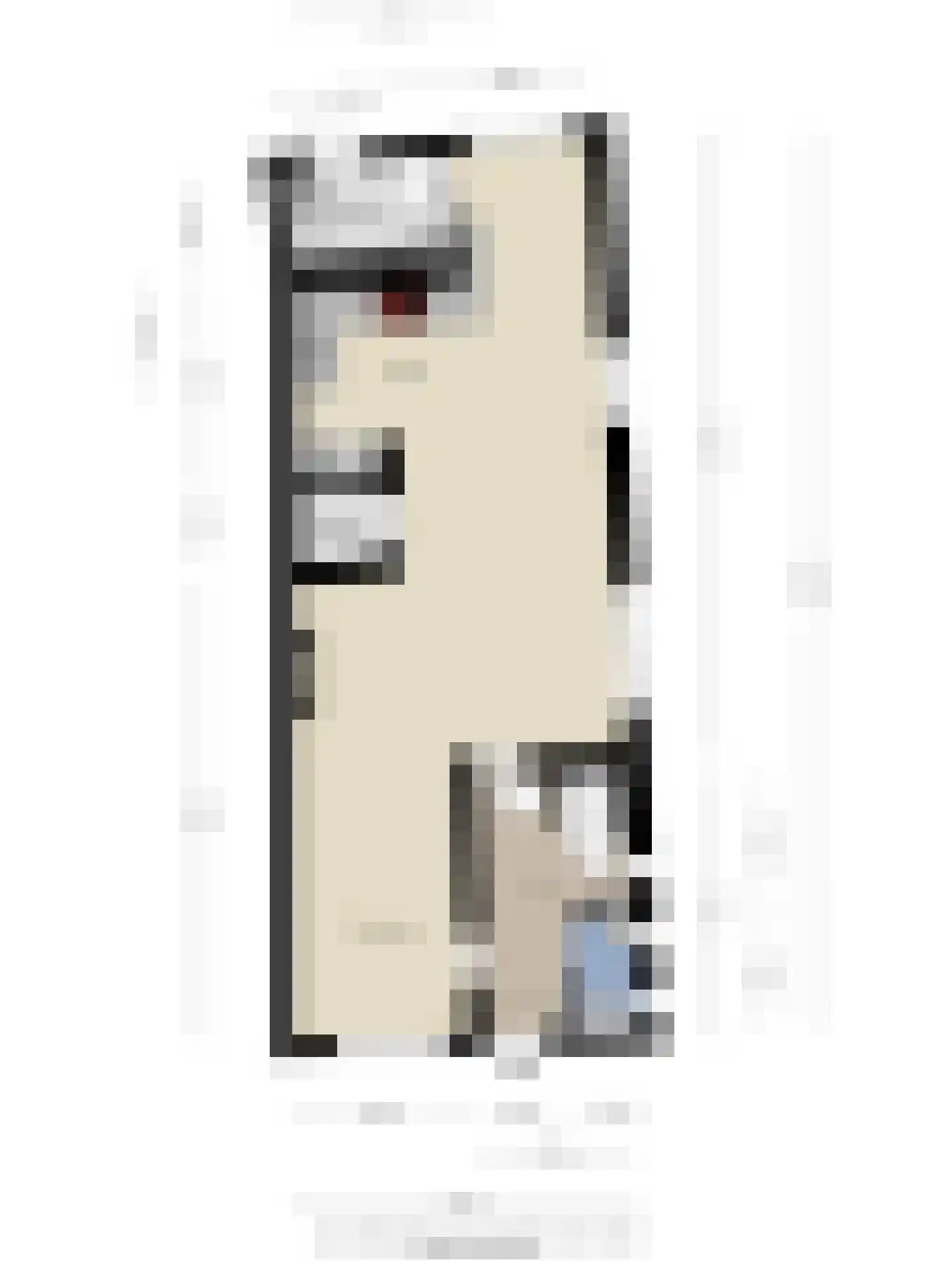 Dorpsplein 5 Geervliet thumbnail 50