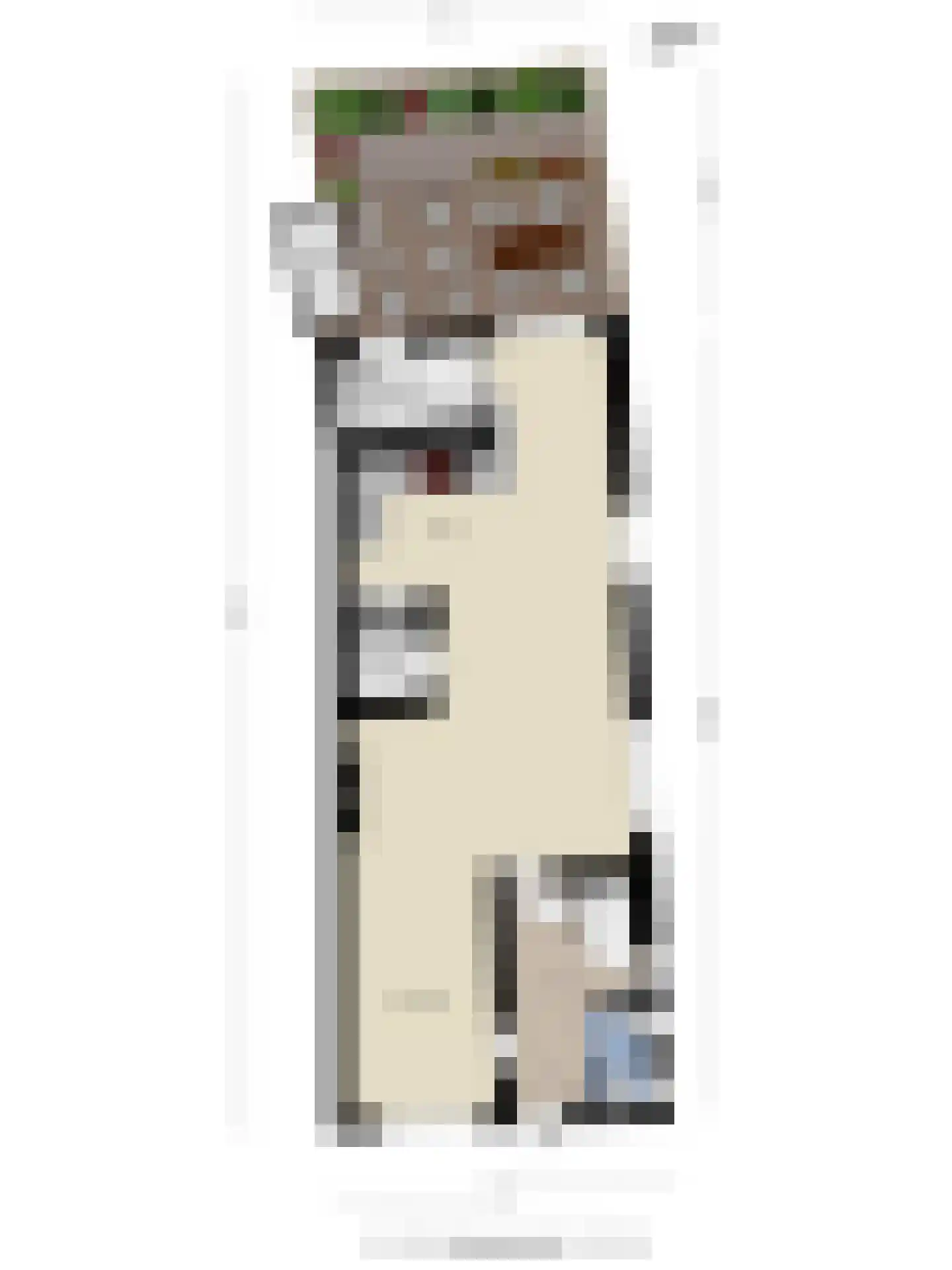 Dorpsplein 5 Geervliet thumbnail 51