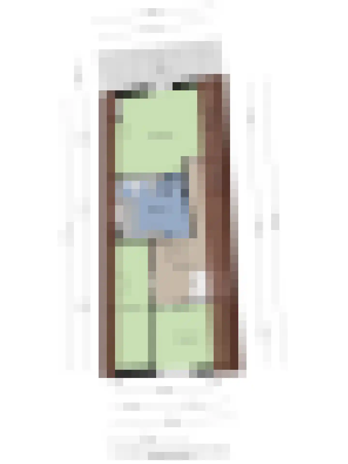 Dorpsplein 5 Geervliet thumbnail 53