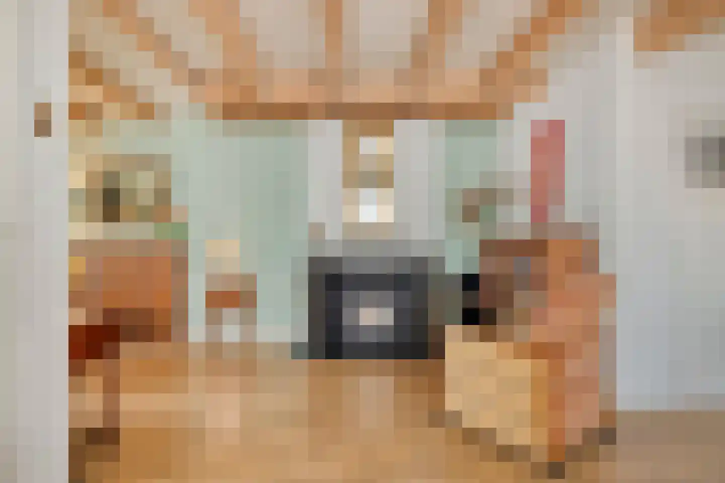 Dorpsplein 5 Geervliet thumbnail 6