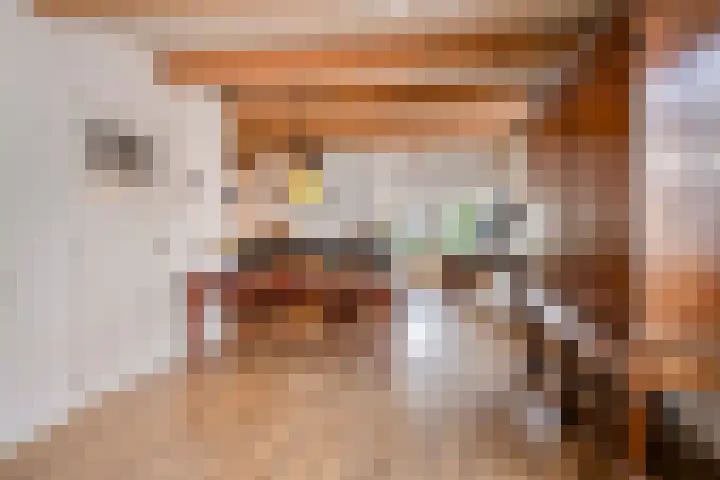 Dorpsplein 5 Geervliet thumbnail 9