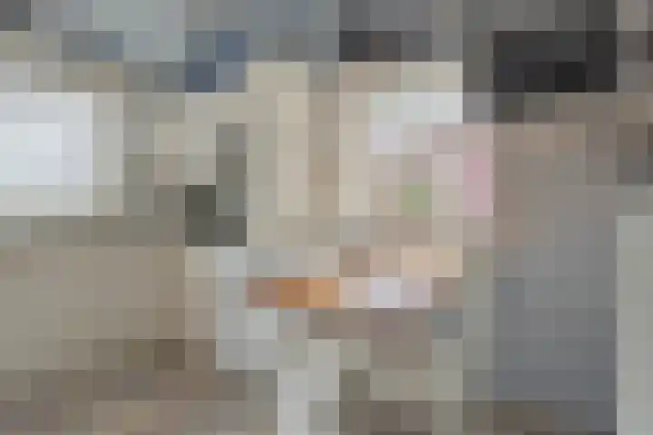 Dorpsplein 5 Graauw thumbnail 12
