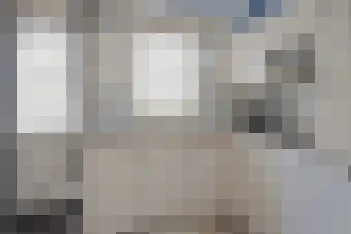 Dorpsplein 5 Graauw thumbnail 13