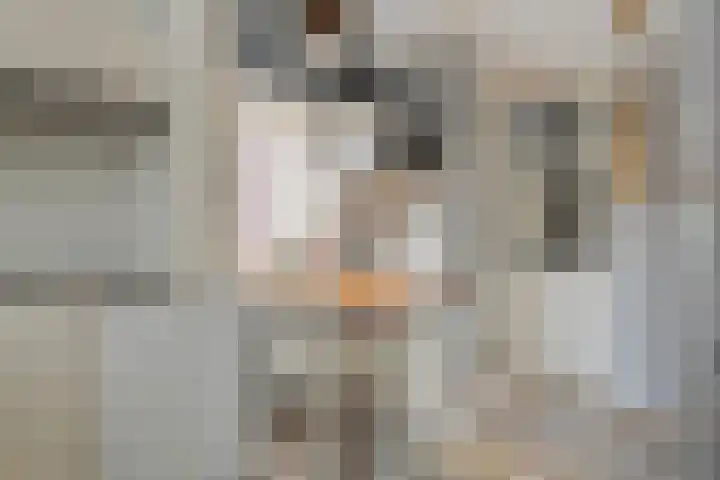 Dorpsplein 5 Graauw thumbnail 14