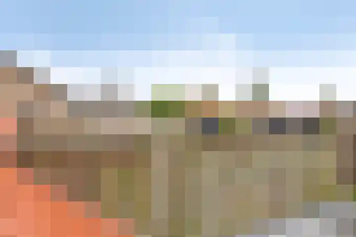 Dorpsplein 5 Graauw thumbnail 24