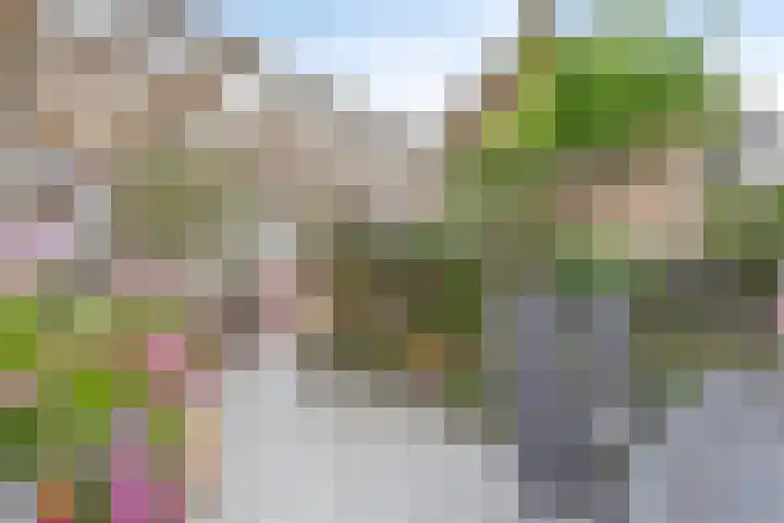 Dorpsplein 5 Graauw thumbnail 4