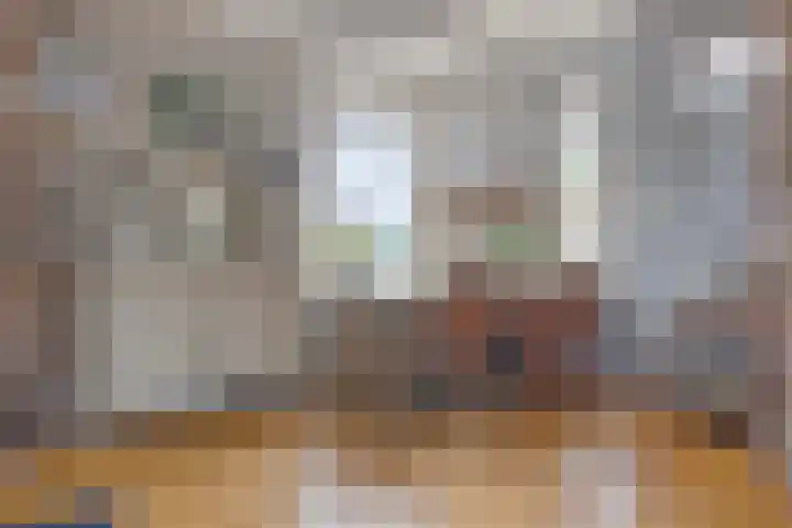 Dorpsplein 5 Graauw thumbnail 8