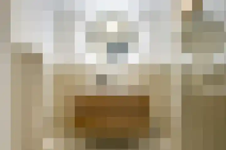 Dorpsplein 6 a Doorn thumbnail 18