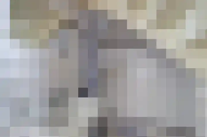 Dorpsplein 7 Aagtekerke thumbnail 18