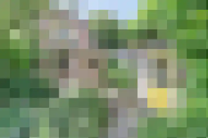 Dorpsplein 7 Aagtekerke thumbnail 25