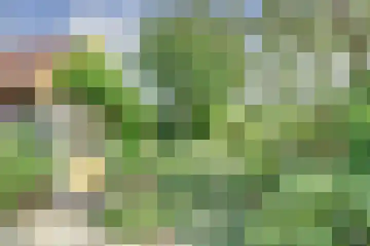 Dorpsplein 7 Aagtekerke thumbnail 26