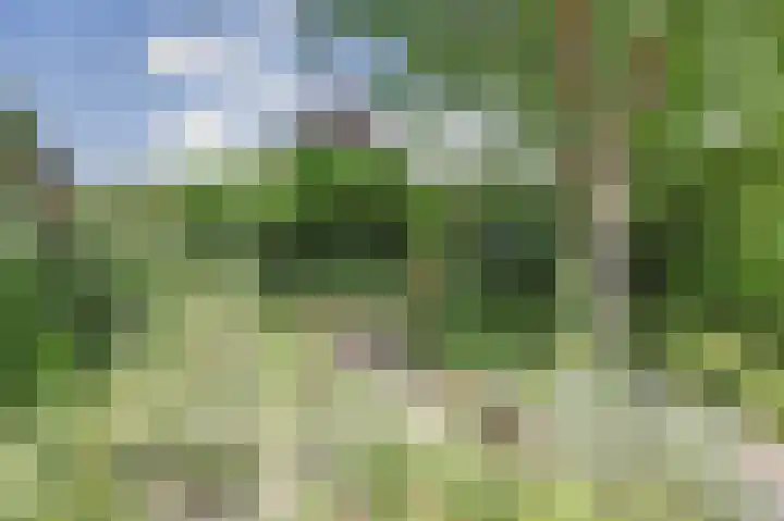 Dorpsplein 7 Aagtekerke thumbnail 30