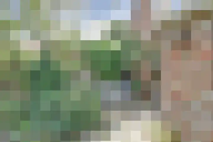 Dorpsplein 7 Aagtekerke thumbnail 31