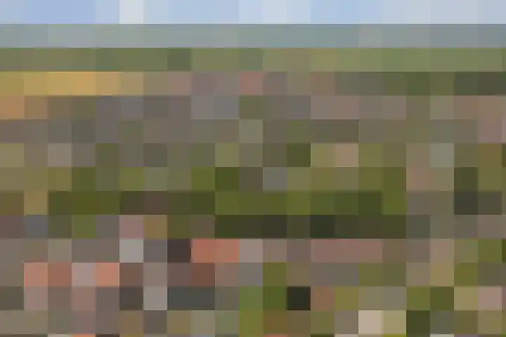 Dorpsplein 7 Aagtekerke thumbnail 36