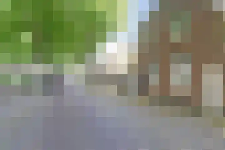 Dorpsplein 7 Aagtekerke thumbnail 37