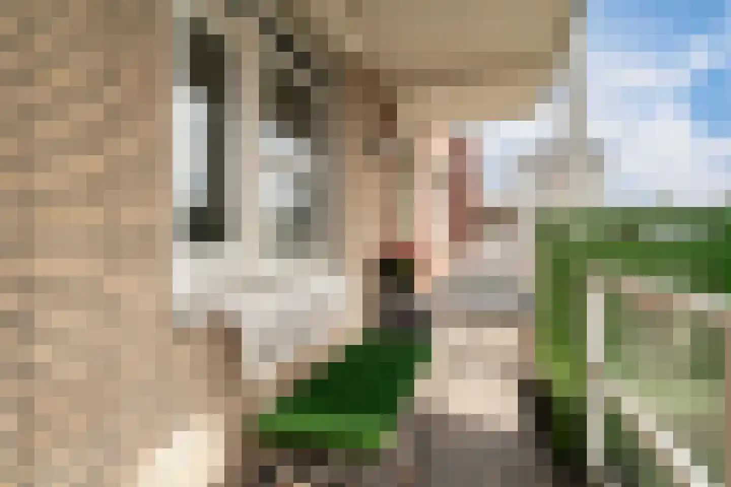 Dorpsplein 77 Westervoort thumbnail 14