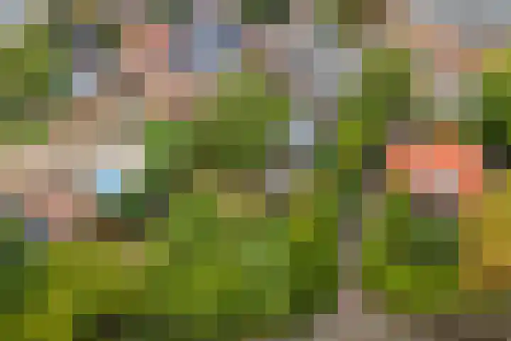 Dorpsplein 8 Maurik thumbnail 100