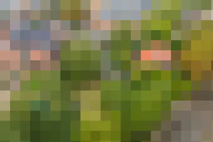 Dorpsplein 8 Maurik thumbnail 101