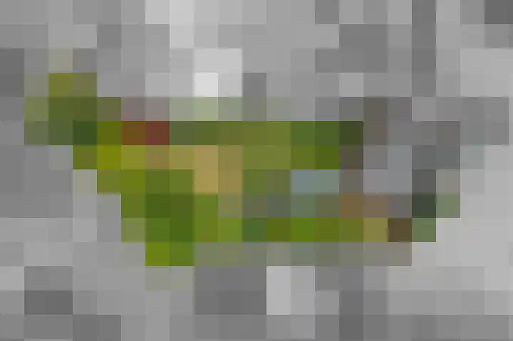 Dorpsplein 8 Maurik thumbnail 103