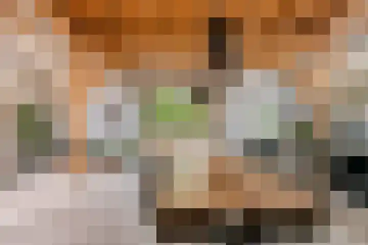 Dorpsplein 8 Maurik thumbnail 12