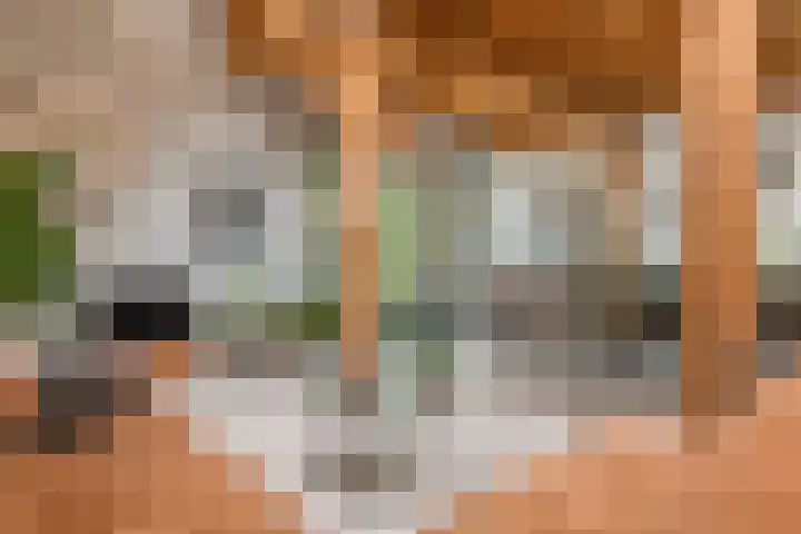 Dorpsplein 8 Maurik thumbnail 13
