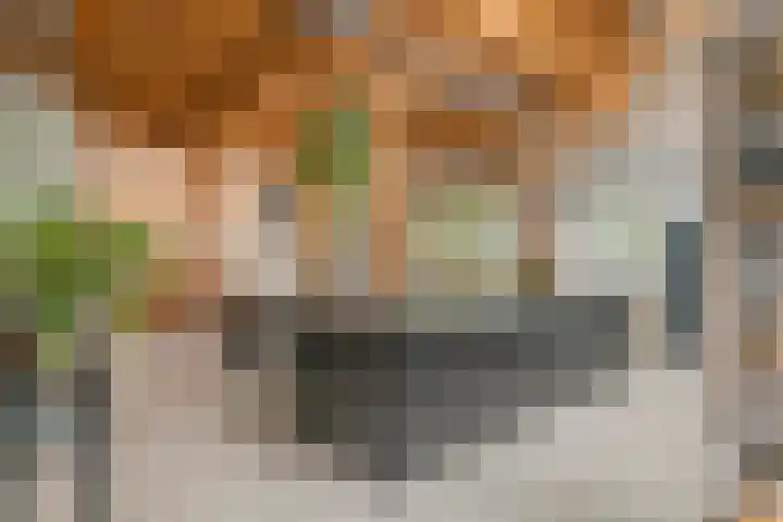 Dorpsplein 8 Maurik thumbnail 14