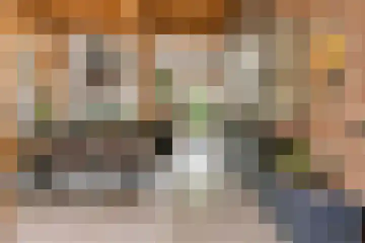Dorpsplein 8 Maurik thumbnail 16