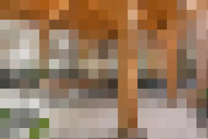 Dorpsplein 8 Maurik thumbnail 18