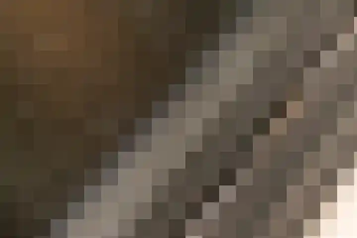 Dorpsplein 8 Maurik thumbnail 20