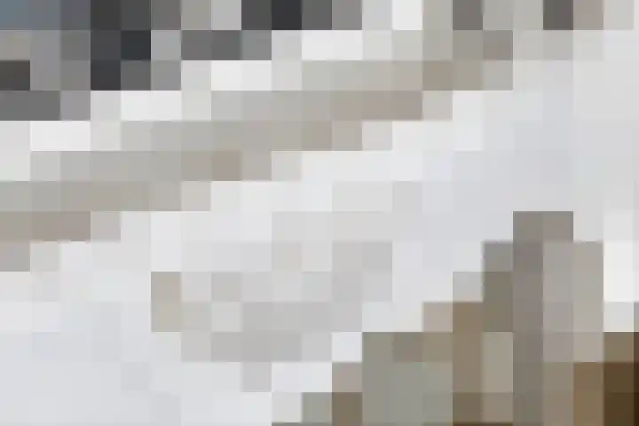 Dorpsplein 8 Maurik thumbnail 31