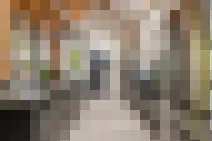 Dorpsplein 8 Maurik thumbnail 4