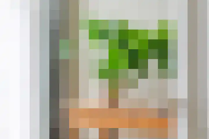 Dorpsplein 8 Maurik thumbnail 43