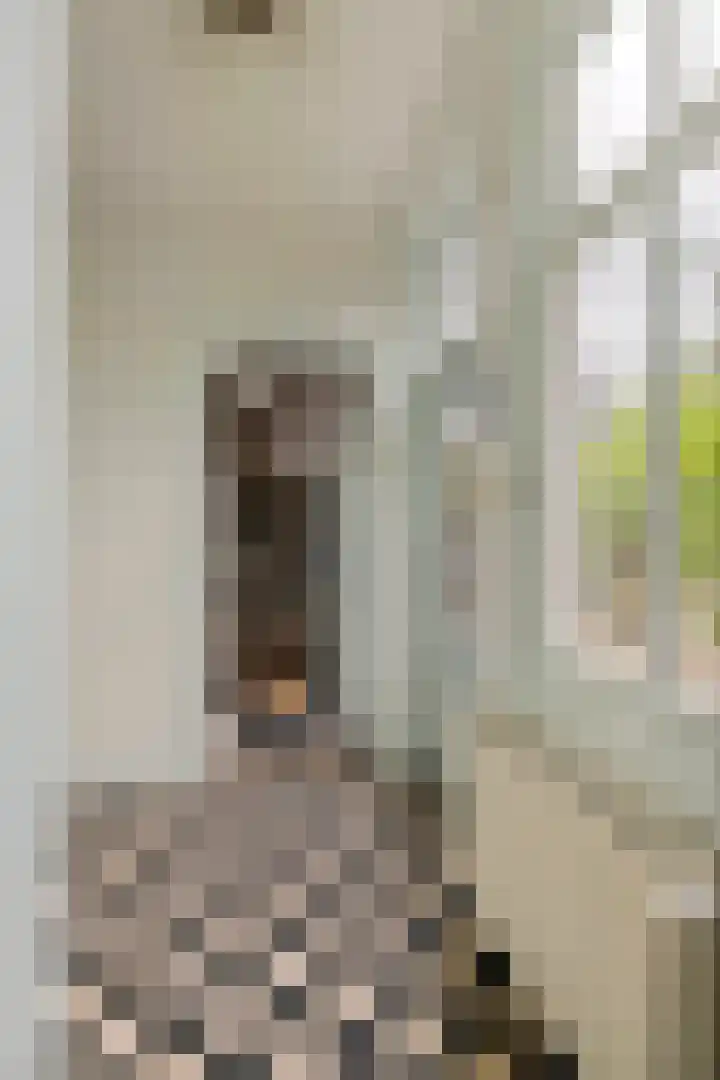 Dorpsplein 8 Maurik thumbnail 48