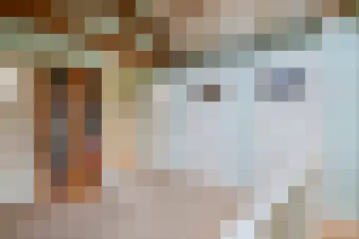 Dorpsplein 8 Maurik thumbnail 54
