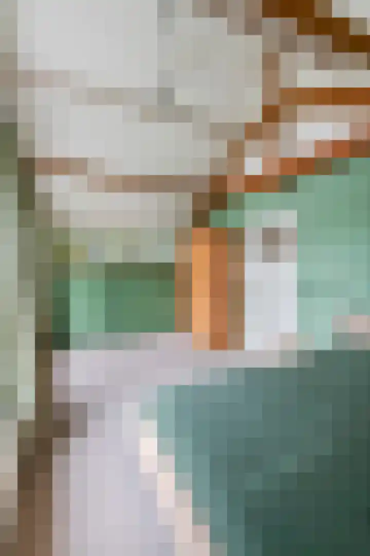 Dorpsplein 8 Maurik thumbnail 58