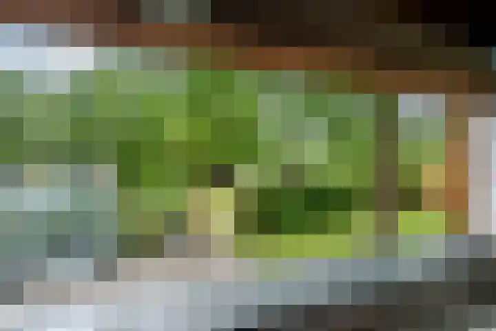 Dorpsplein 8 Maurik thumbnail 6