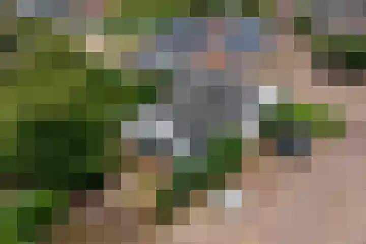Dorpsplein 8 Maurik thumbnail 7