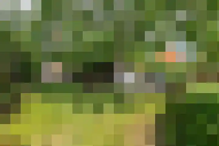 Dorpsplein 8 Maurik thumbnail 77
