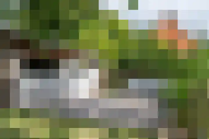 Dorpsplein 8 Maurik thumbnail 78