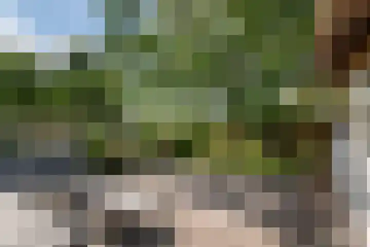Dorpsplein 8 Maurik thumbnail 79