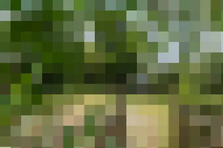 Dorpsplein 8 Maurik thumbnail 80