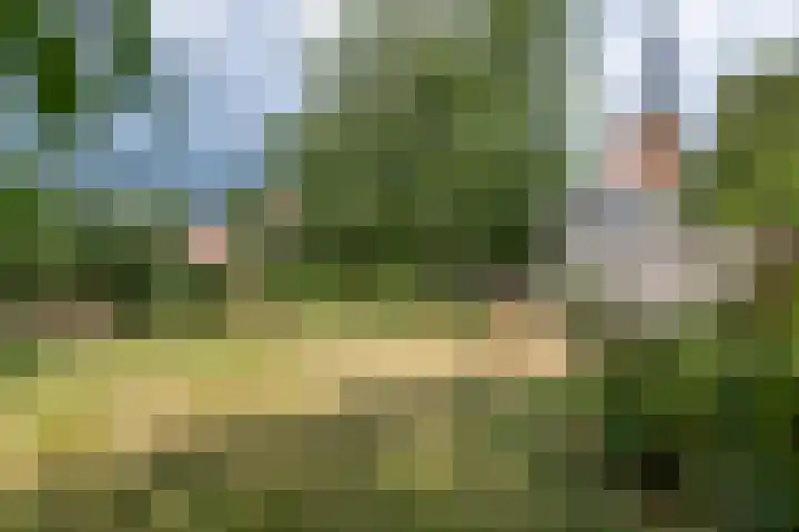 Dorpsplein 8 Maurik thumbnail 81