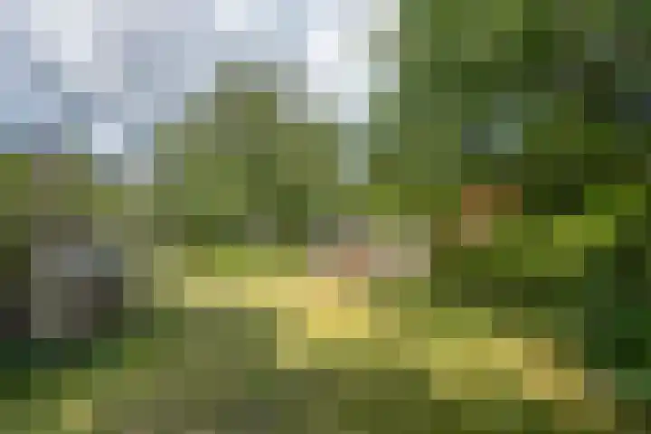 Dorpsplein 8 Maurik thumbnail 83