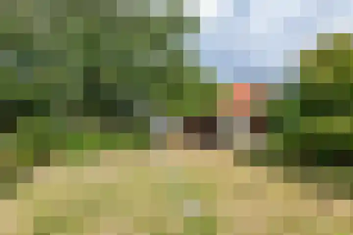 Dorpsplein 8 Maurik thumbnail 84