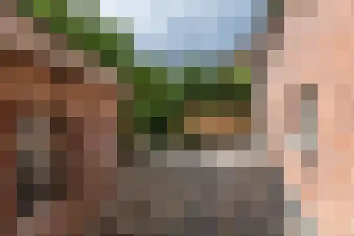 Dorpsplein 8 Maurik thumbnail 87