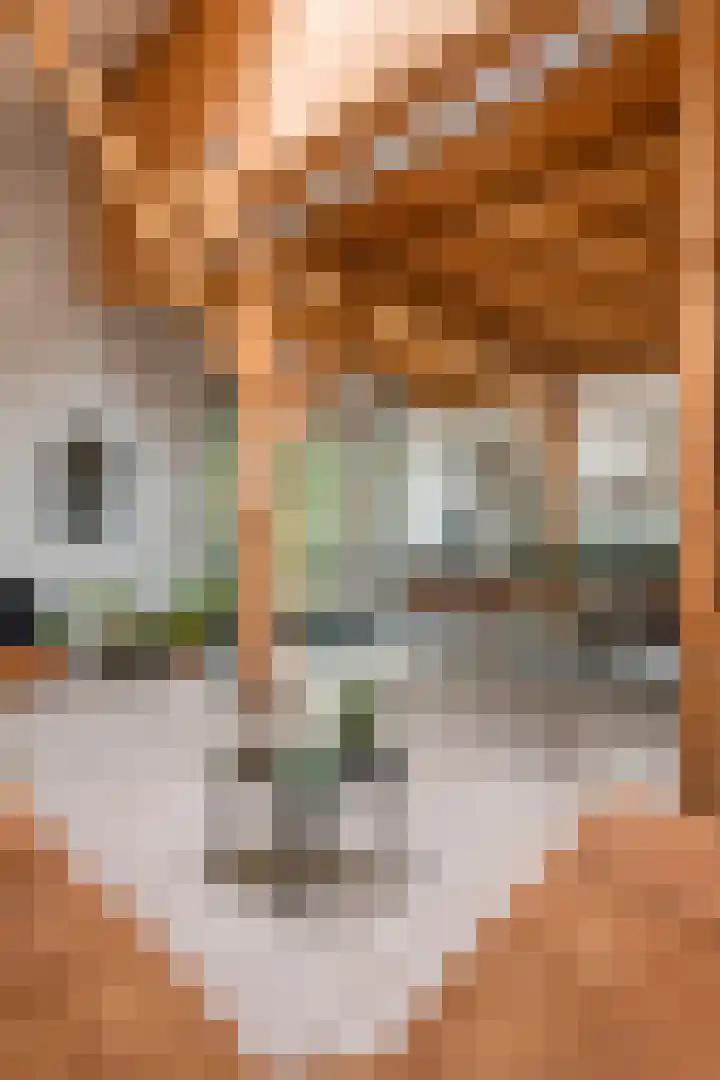 Dorpsplein 8 Maurik thumbnail 93